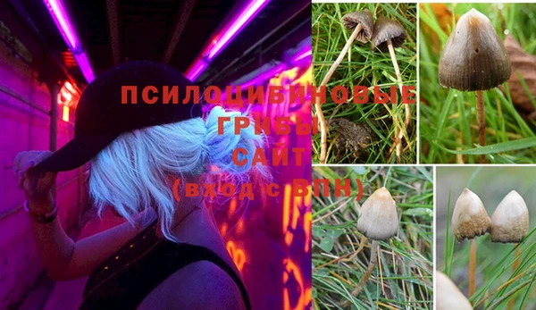 бутик Абаза