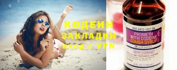 хмурый Алзамай