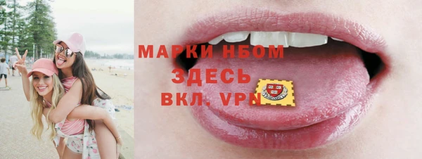индика Алексин