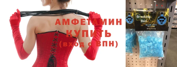 индика Алексин