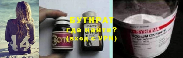 индика Алексин