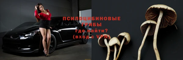 индика Алексин