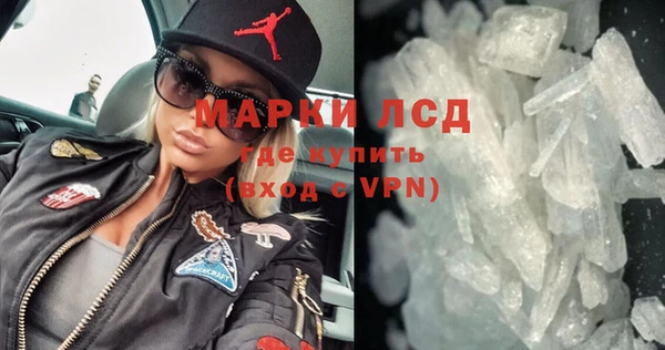 индика Алексин