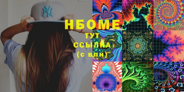 индика Алексин