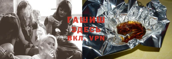 индика Алексин
