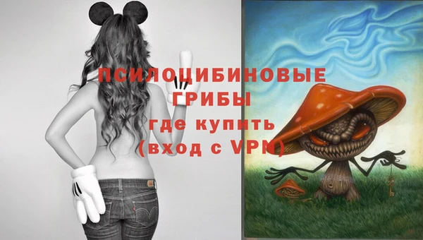 хмурый Алзамай
