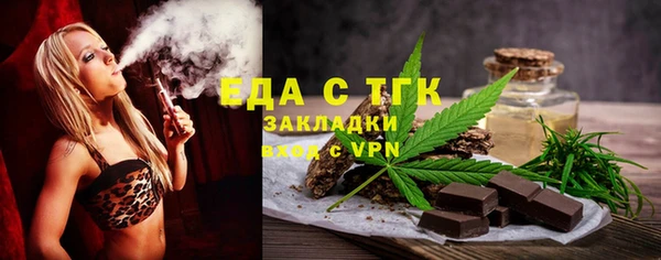 индика Алексин